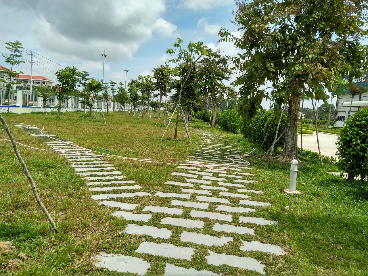 DỊCH VỤ CHĂM SÓC CÂY XANH TẠI KHU VỰC GÒ DẦU TÂY NINH