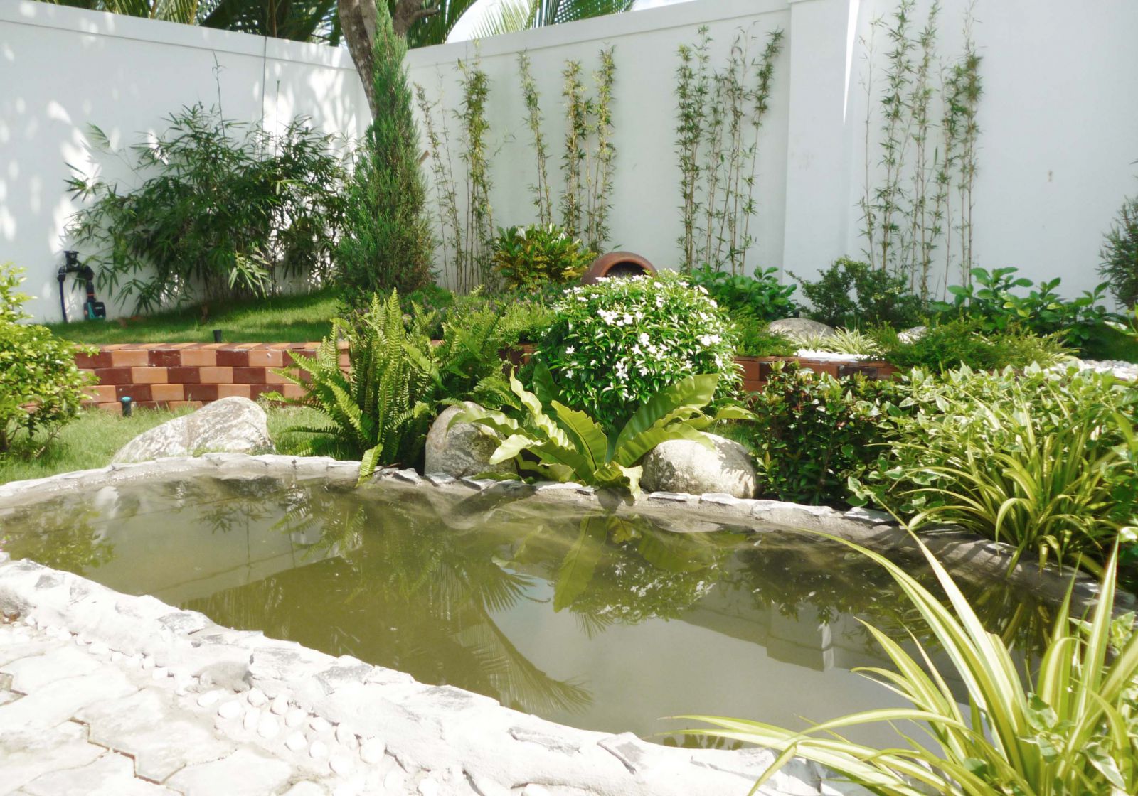 Dịch vụ thi công cảnh quan, chăm sóc sân vườn, xây dựng tại Tây Ninh