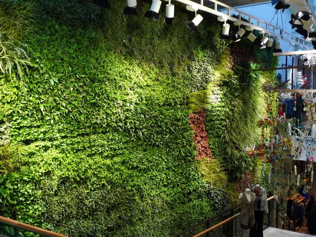 thi công tường cây xanh tại trảng bàng tây ninh