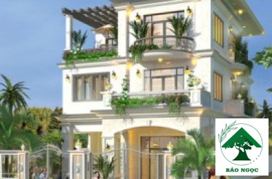 Xây Dựng Biệt Thự